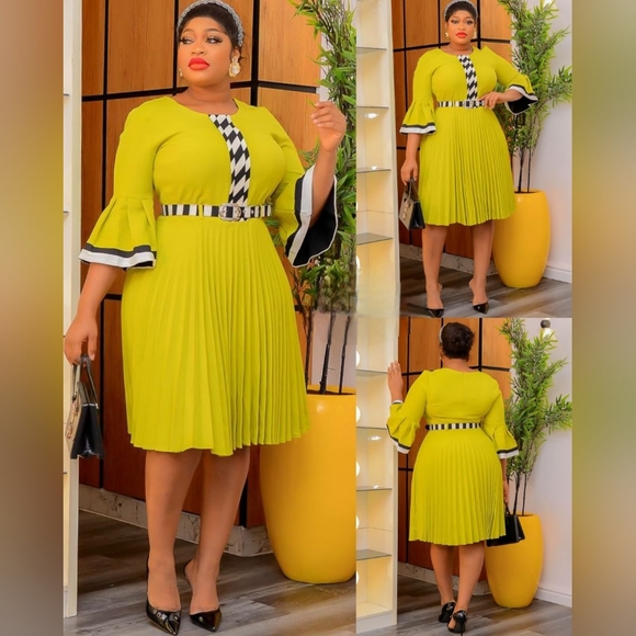 Dresses & Skirts - NWT - Olive pleated dress with White and Black Borders